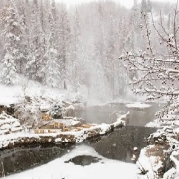 a waterfall with trees on the side of a snow covered slope
