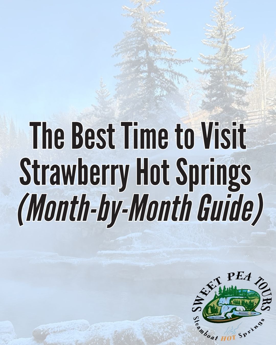 Sweet Pea Tours – The Best Time to Visit Strawberry Hot Springs Guide cover for visiting Strawberry Hot Springs, snowy landscape background, logo with 'Sweet Pea Tours'.